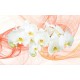 Wall murals white orchids orange on orange abstract background Wall murals white orchids orange on orange abstract background