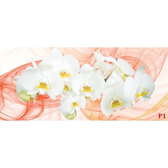 Wall murals white orchids orange on orange abstract background Wall murals white orchids orange on orange abstract background
