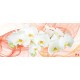 Wall murals white orchids orange on orange abstract background Wall murals white orchids orange on orange abstract background