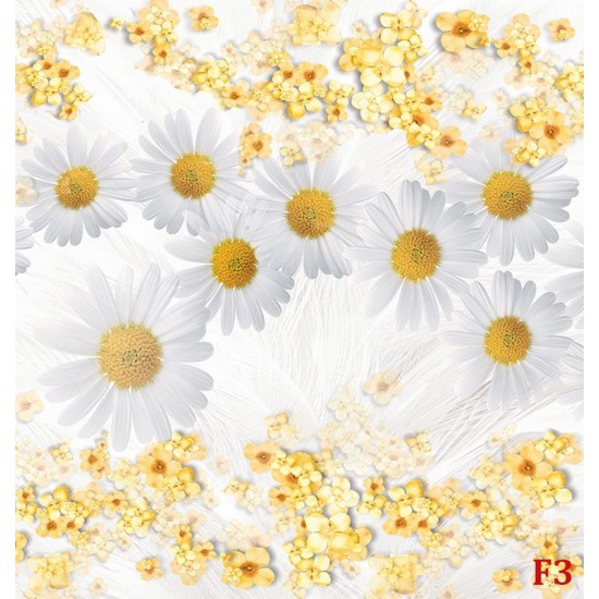 Wall murals composition with white daisies background feathers