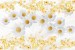 Wall murals composition with white daisies background feathers