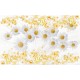 Wall murals composition with white daisies background feathers