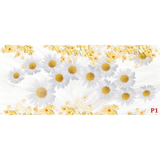 Wall murals composition with white daisies background feathers