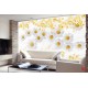 Wall murals composition with white daisies background feathers