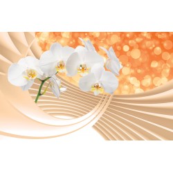 Wallpapers mural composition with white orchids and spiral 3d