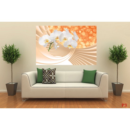 Wallpapers mural composition with white orchids and spiral 3d Wallpapers mural composition with white orchids and spiral 3d