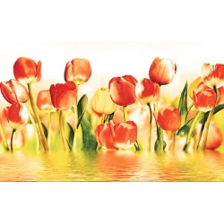 Wallpapers mural beautiful tulips in water with orange nuance