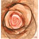 Photo mural modern abstraction rose in 2 colors Photo mural modern abstraction rose in 2 colors