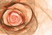 Photo mural modern abstraction rose in 2 colors
