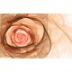 Photo mural modern abstraction rose in 2 colors Photo mural modern abstraction rose in 2 colors