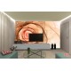 Photo mural modern abstraction rose in 2 colors Photo mural modern abstraction rose in 2 colors