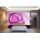 Photo mural modern abstraction rose in 2 colors Photo mural modern abstraction rose in 2 colors