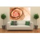 Photo mural modern abstraction rose in 2 colors Photo mural modern abstraction rose in 2 colors