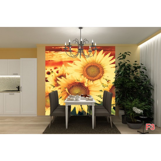 Photo mural big sunflowers on orange field Photo mural big sunflowers on orange field
