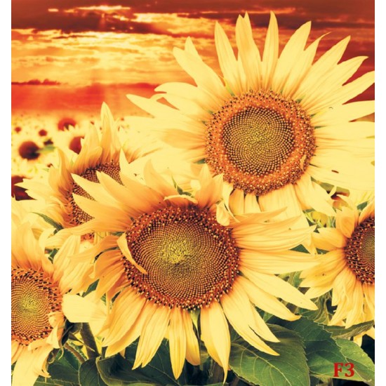 Photo mural big sunflowers on orange field Photo mural big sunflowers on orange field