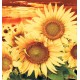 Photo mural big sunflowers on orange field Photo mural big sunflowers on orange field