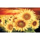 Photo mural big sunflowers on orange field Photo mural big sunflowers on orange field