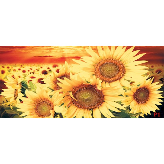 Photo mural big sunflowers on orange field Photo mural big sunflowers on orange field