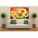 Photo mural big sunflowers on orange field Photo mural big sunflowers on orange field