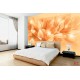 Wallpapers mural composition lilium in orange Wallpapers mural composition lilium in orange