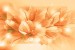Wallpapers mural composition lilium in orange