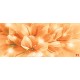 Wallpapers mural composition lilium in orange Wallpapers mural composition lilium in orange