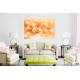 Wallpapers mural composition lilium in orange Wallpapers mural composition lilium in orange