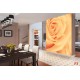 Wallpapers mural beautiful roses in orange
