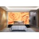 Wallpapers mural beautiful roses in orange