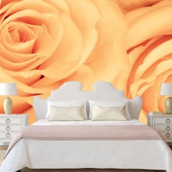 Wallpapers mural beautiful roses in orange
