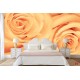 Wallpapers mural beautiful roses in orange