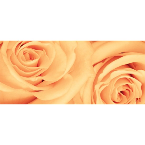Wallpapers mural beautiful roses in orange