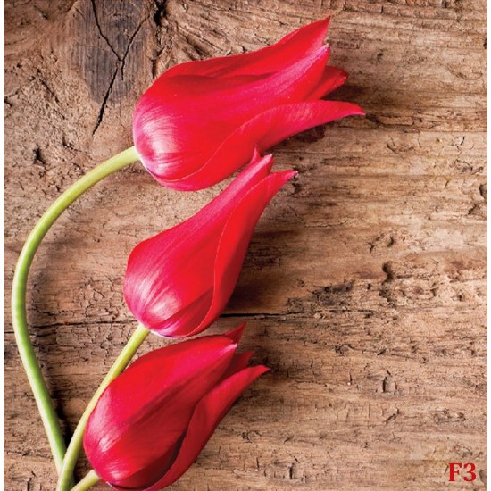Wallpapers mural red tulips on wooden base Wallpapers mural red tulips on wooden base