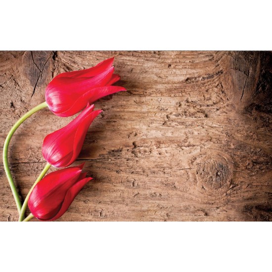 Wallpapers mural red tulips on wooden base Wallpapers mural red tulips on wooden base