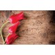 Wallpapers mural red tulips on wooden base Wallpapers mural red tulips on wooden base