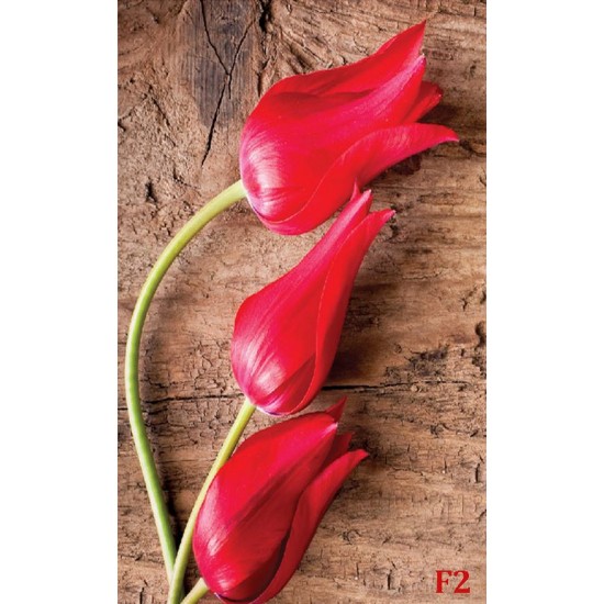 Wallpapers mural red tulips on wooden base Wallpapers mural red tulips on wooden base