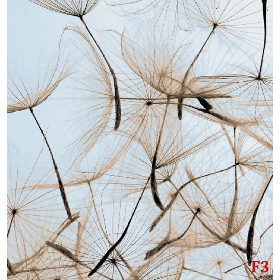 Wall murals beige dandelion scattered Wall murals beige dandelion scattered