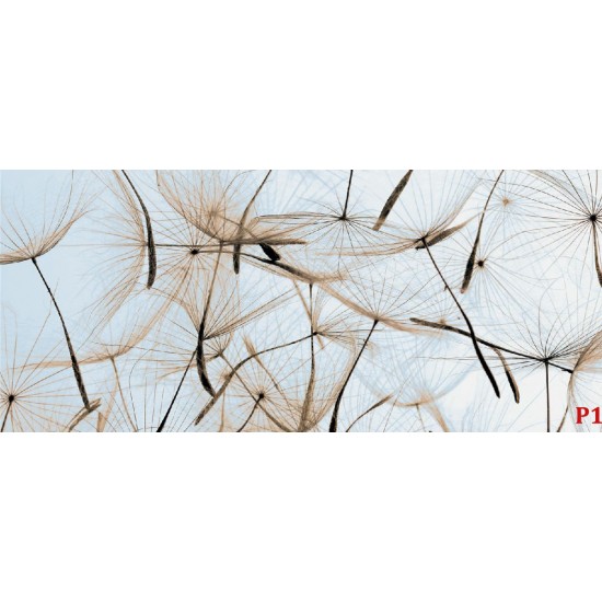 Wall murals beige dandelion scattered Wall murals beige dandelion scattered