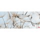Wall murals beige dandelion scattered Wall murals beige dandelion scattered