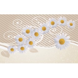 Wallpapers mural white daisies with ornaments in 2 colors