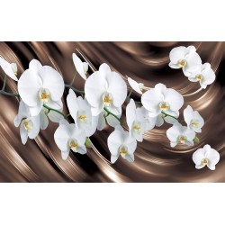 Wall murals orchid on silk in brown and white 