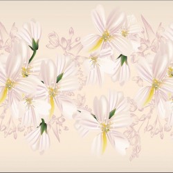 Wallpapers mural delicate flowers with pink lines 