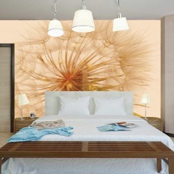 Wall murals  wonderful big dandelion in beige