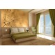Wall murals simple dandelion gold