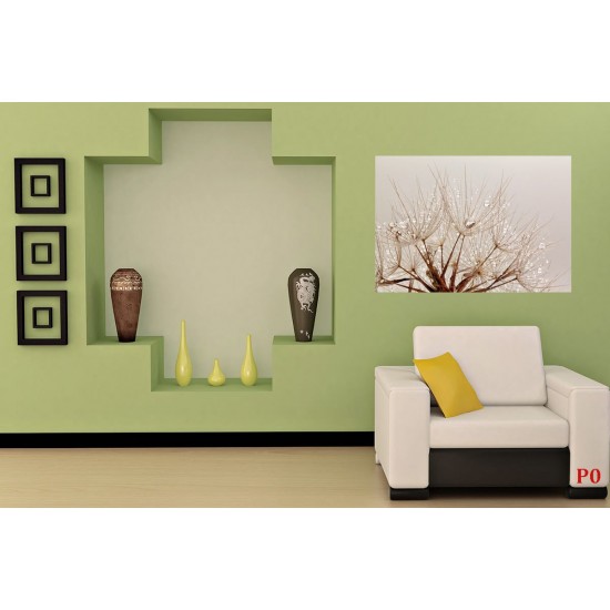 Wall mural dandelion with crystal water drops