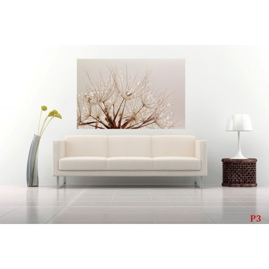Wall mural dandelion with crystal water drops