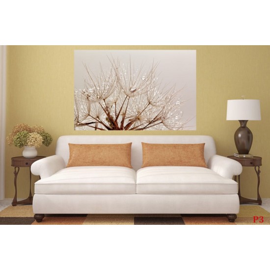 Wall mural dandelion with crystal water drops