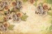 Wall mural vintage composition with romantic golden roses