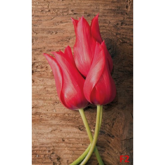 Wallpapers mural red tulips on wooden background Wallpapers mural red tulips on wooden background