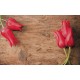 Wallpapers mural red tulips on wooden background Wallpapers mural red tulips on wooden background